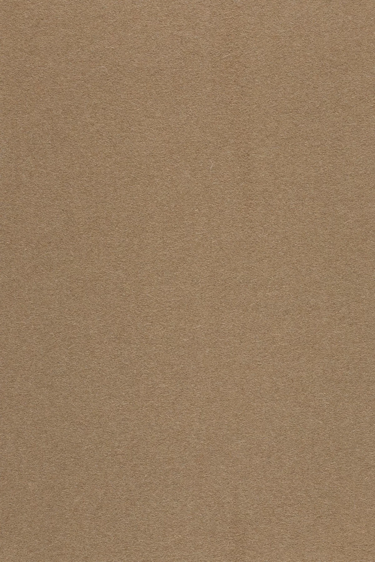 Fabric sample Divina 3 334 brown